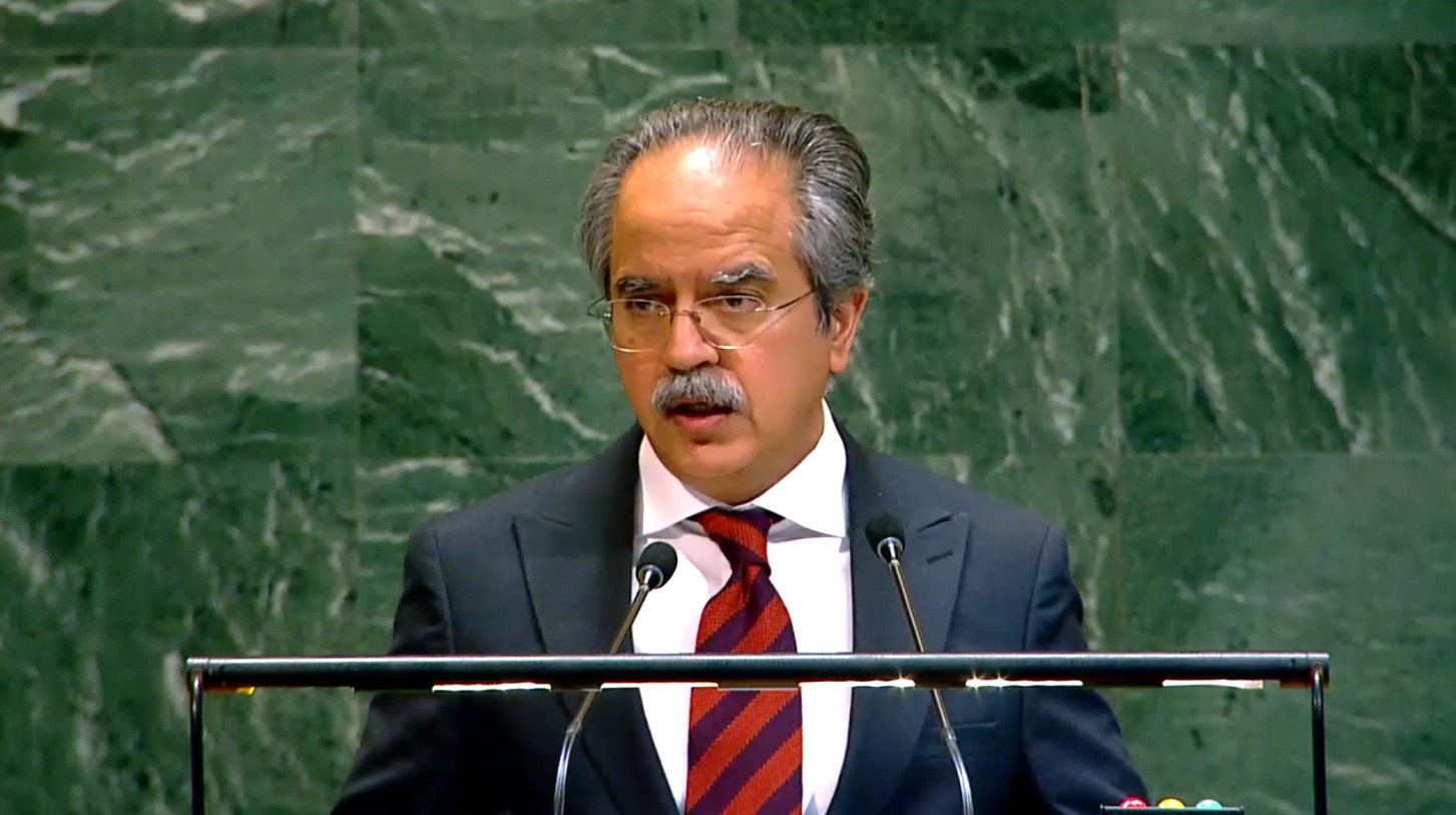 Pakistan warns against expanding UNSC’s permanent membership